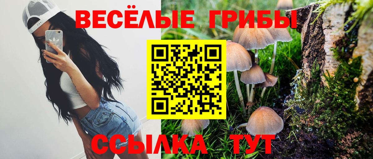 Псилоцибиновые грибы Cubensis  Вход с VPN  Тимашёвск  Галлюциногенные грибы мухоморы 